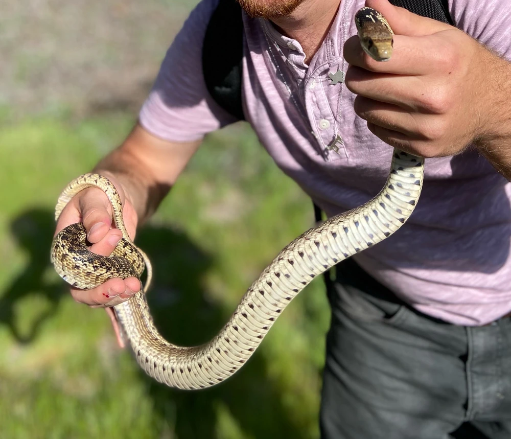 Image uploaded by Jordan!