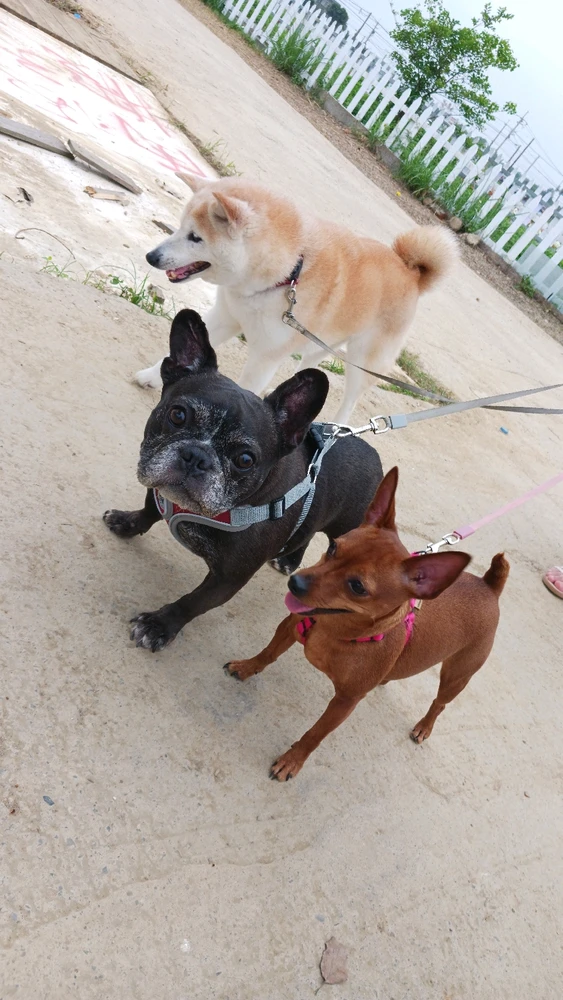 Image uploaded by Fen