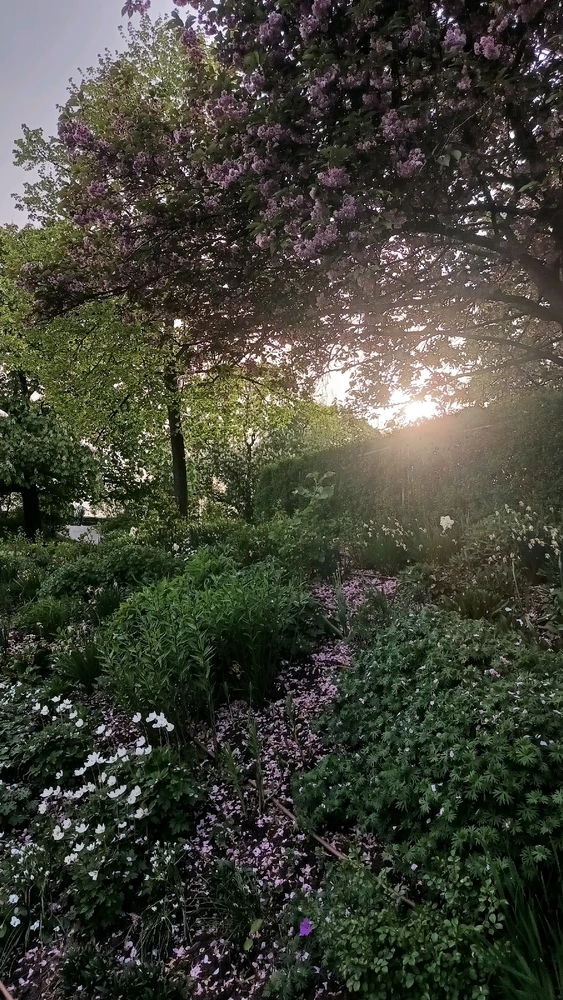Obrázek nahrál RADIS (Radoslav)