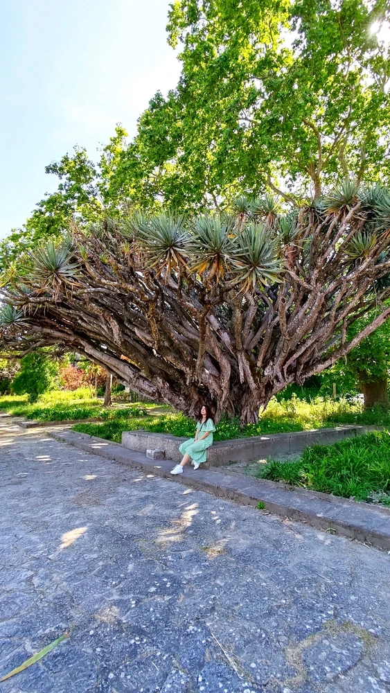Teresa上傳的圖片