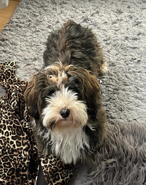 Image uploaded by Johanna Schröder