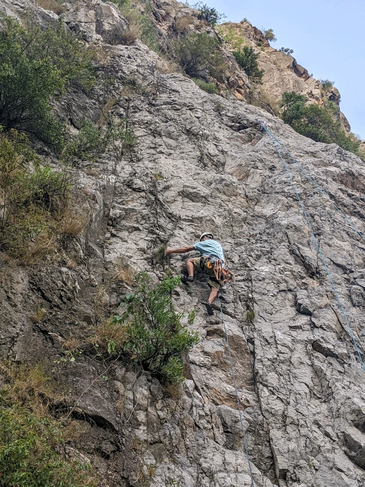 Image uploaded by Osman