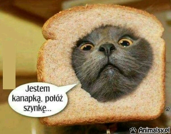 Image uploaded by Agnes