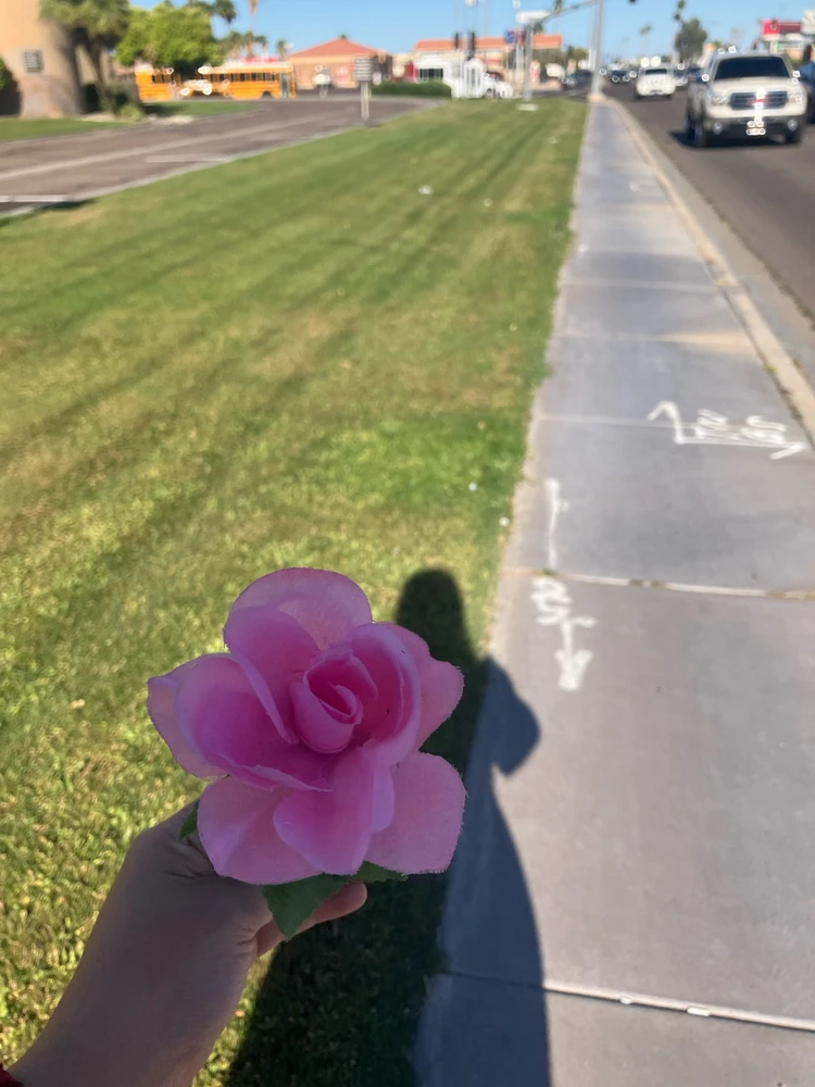 Image uploaded by Hannah