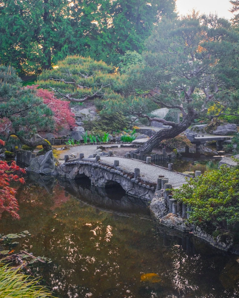 Gambar diunggah dening Anthony