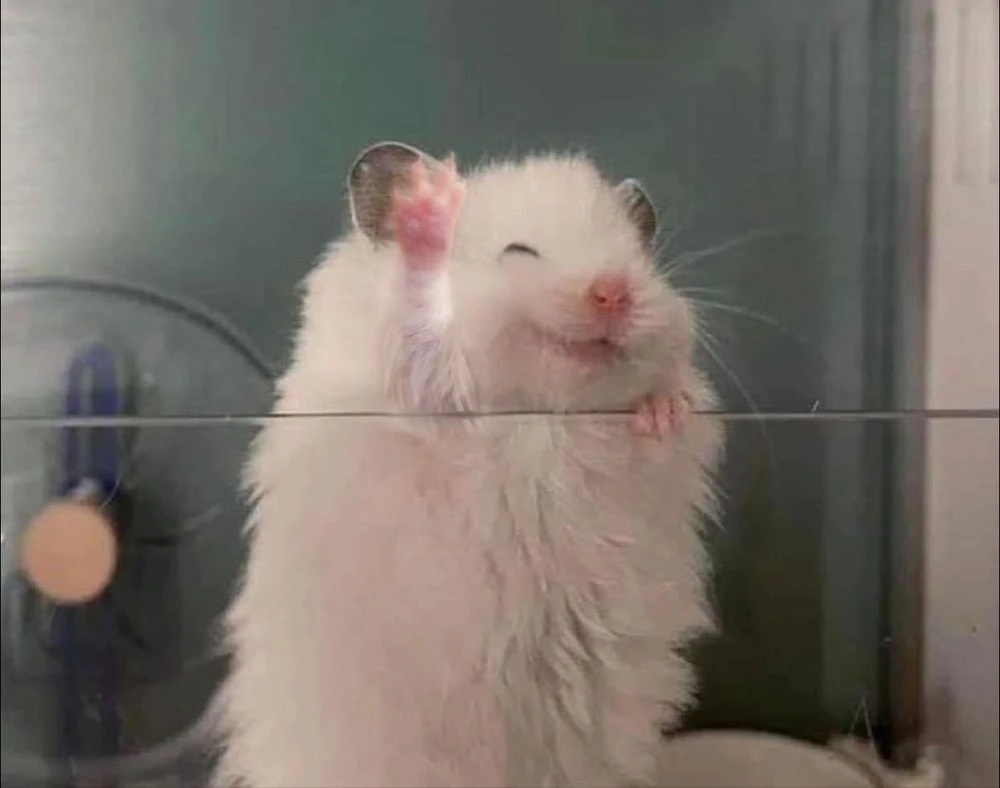 Mido님이 올린 사진