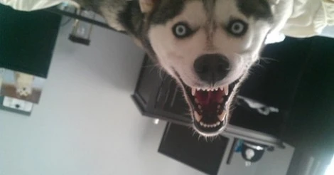 Imagen subida por Clock