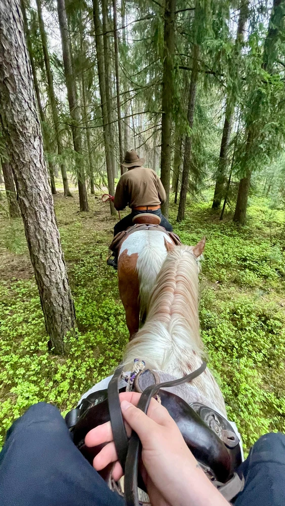 Obrázek nahrál Honza