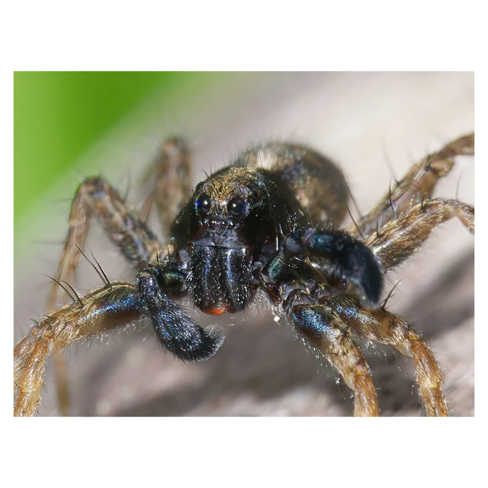 Image uploaded by Igor