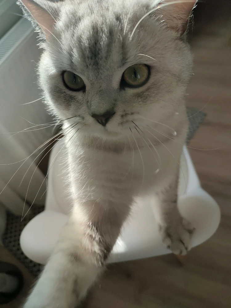 Bild hochgeladen von Vanessa