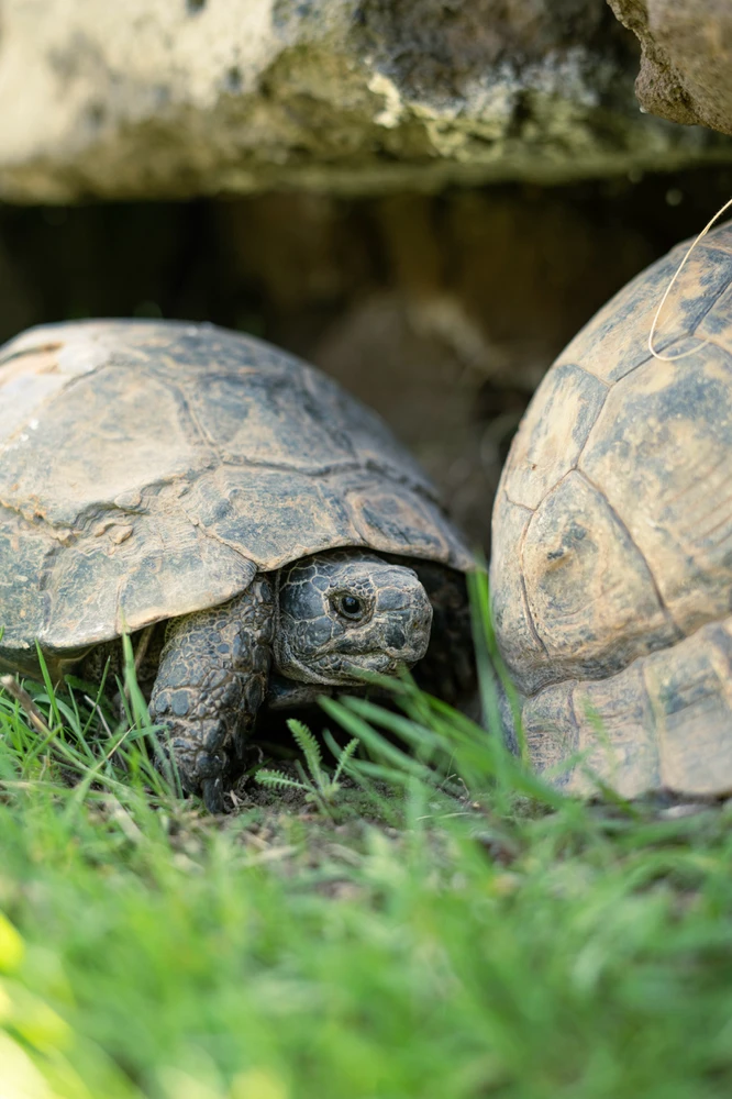 Abdullah tarafından yüklenen görsel