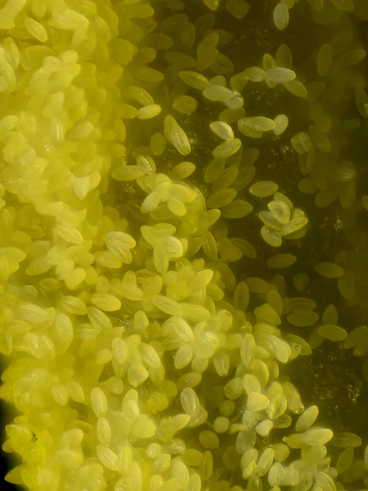 Фото загрузил Тимур