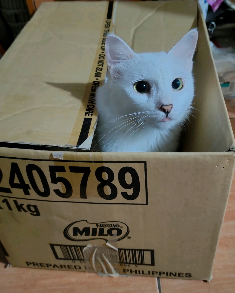 Image uploaded by 𝓙𝓪𝔂𝓷𝓮