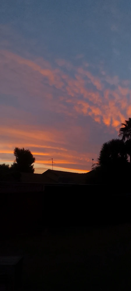 Prent opgelaai deur Elijah