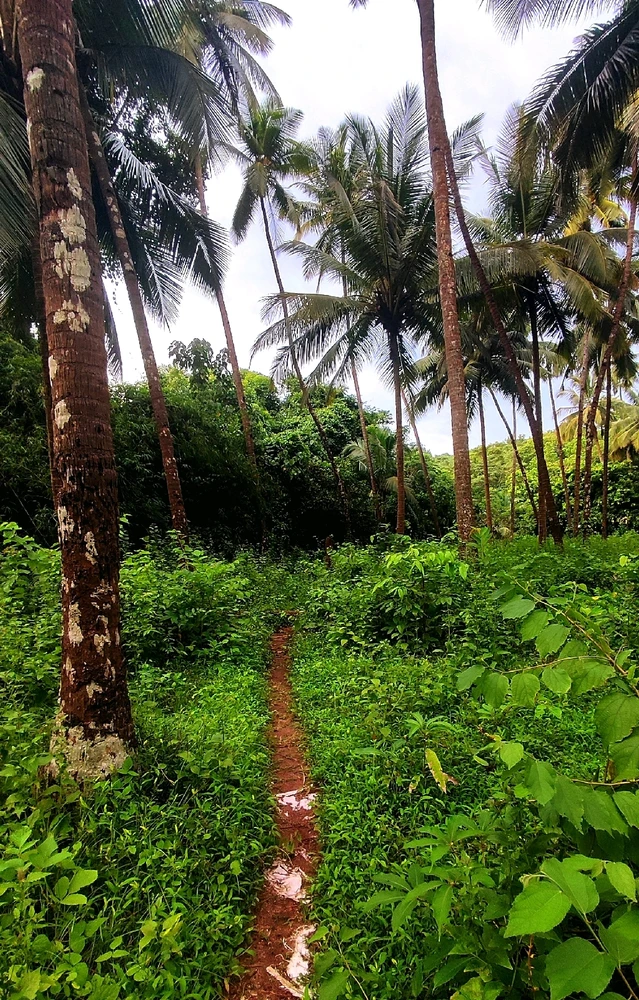 Image uploaded by Vivek