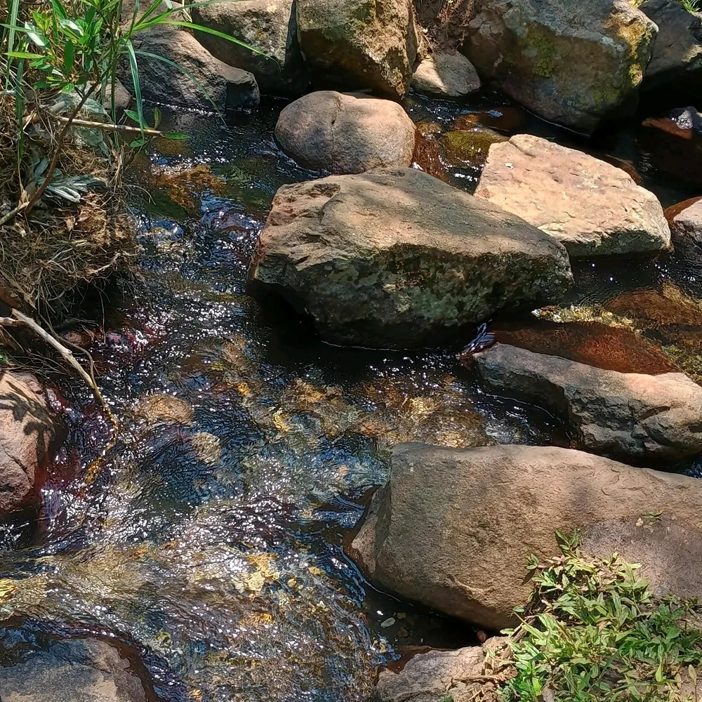 Εικόνα από Samir