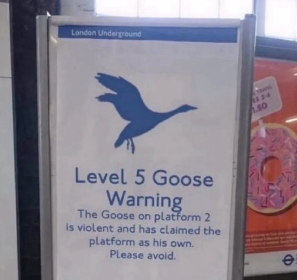 Image uploaded by Stephen