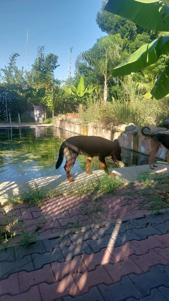 Image ajoutée par Hicham