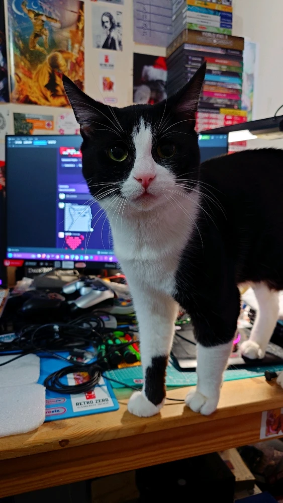 Image uploaded by Kanan