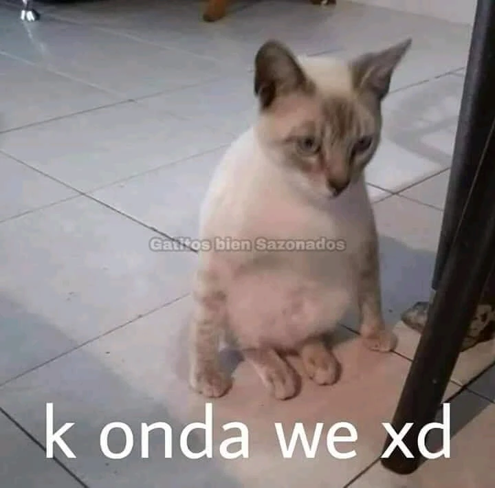 Imagen subida por Luis Fidel Villegas