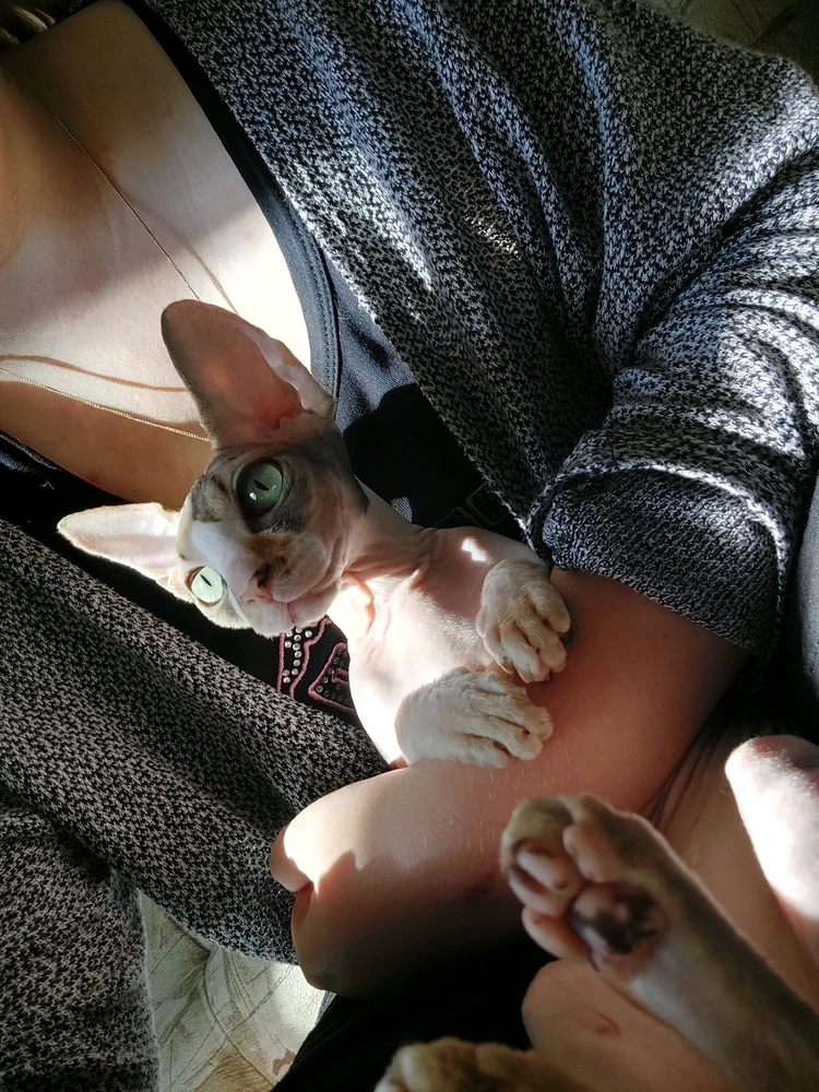 Фото загрузил Vika