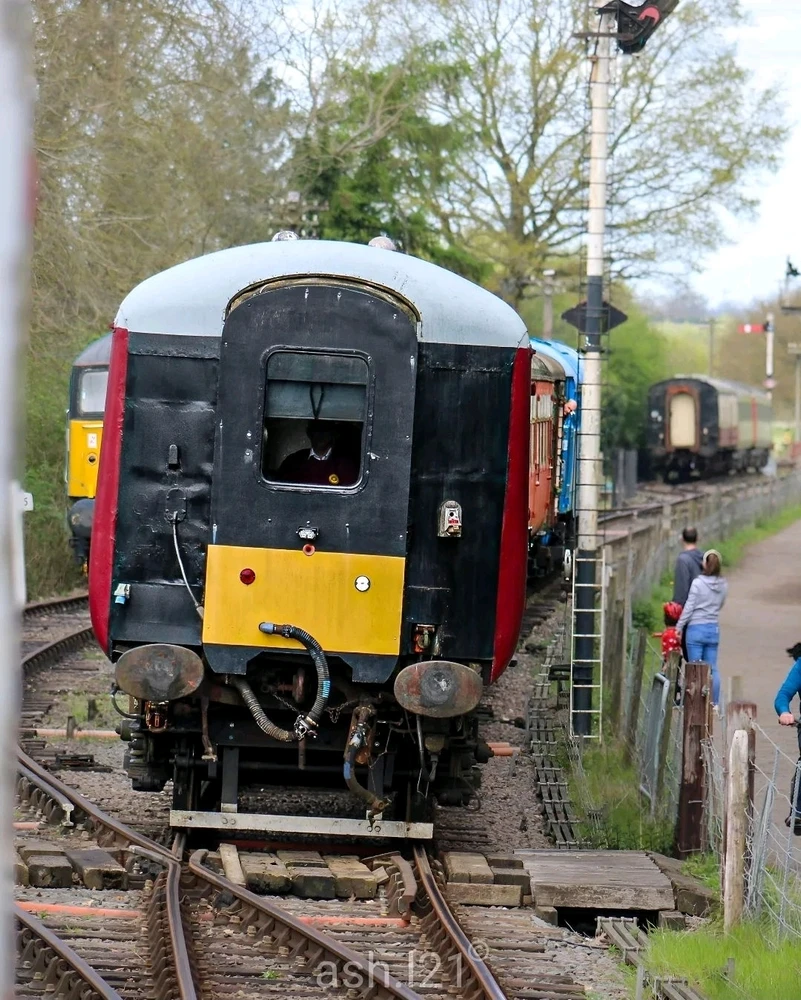 Image uploaded by Ash