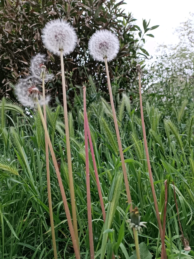 Floyd tarafından yüklenen görsel
