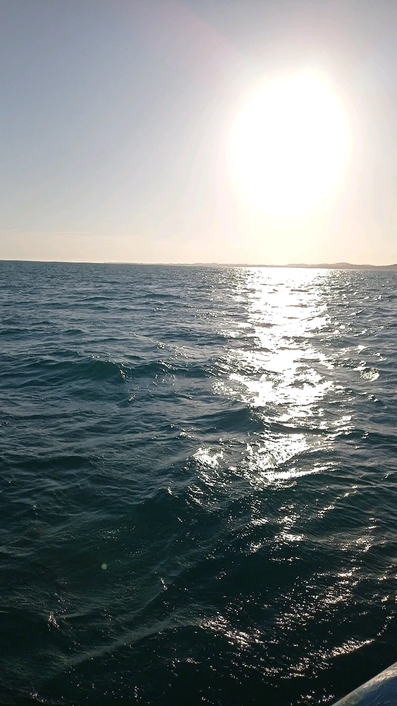 I want to find you my Love!