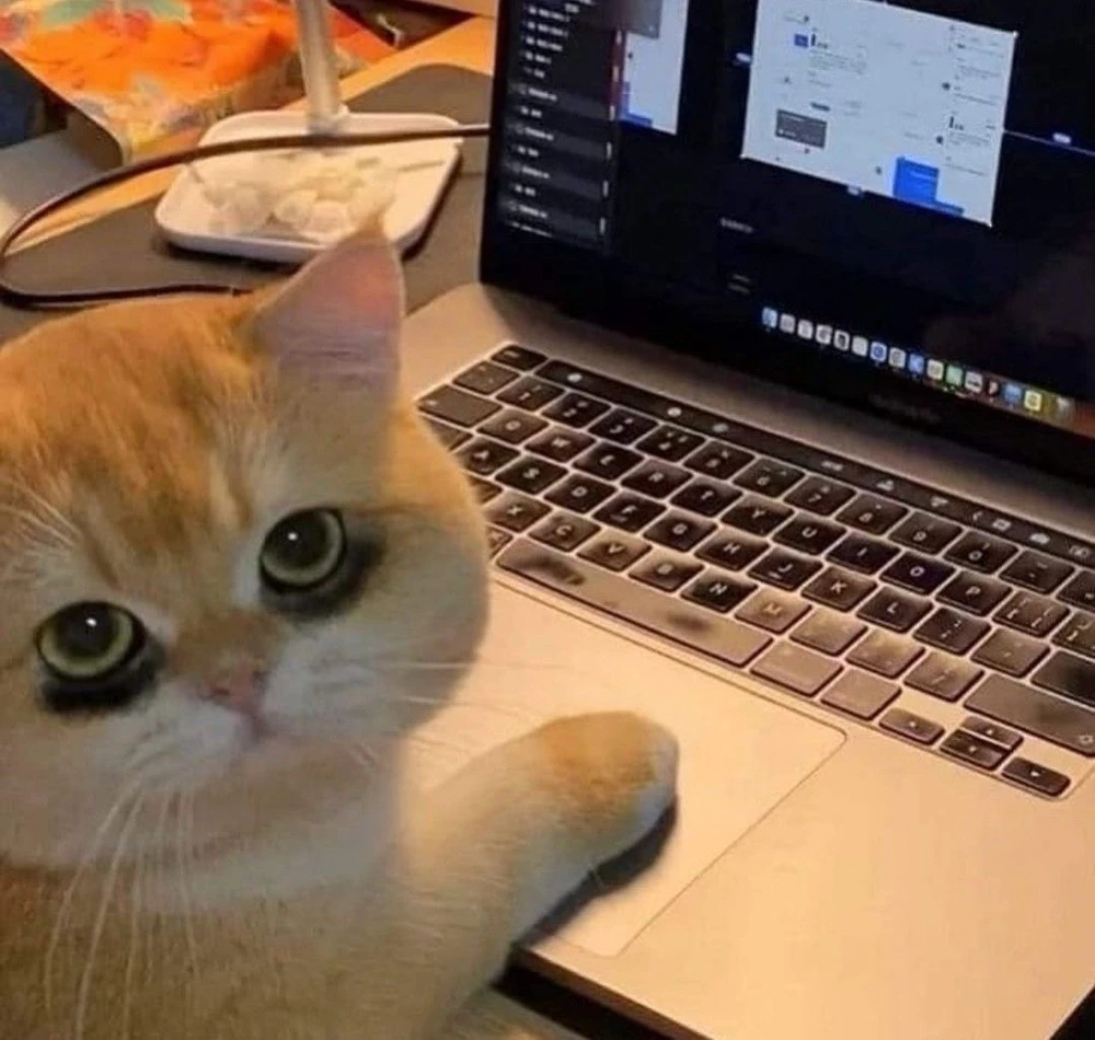 Image uploaded by Allen