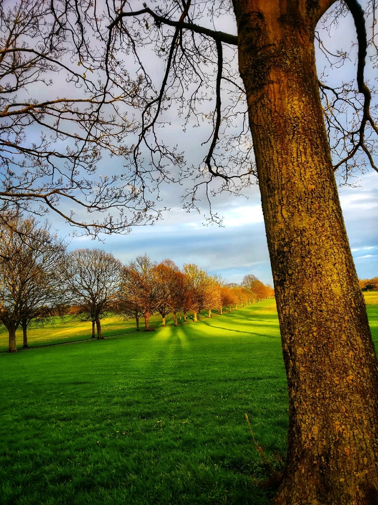 Image uploaded by regno