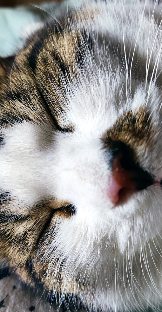 Zdjęcie dodane przez Weronika