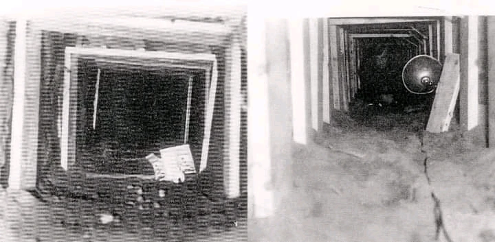 Image uploaded by Erik Thackrey