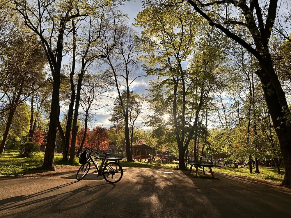 Image uploaded by Panayot