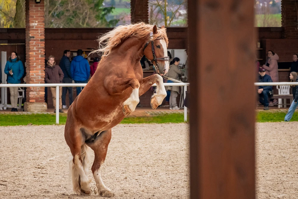 Obrázek nahrál Kateřina