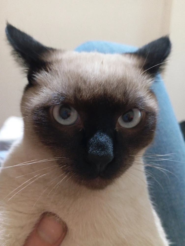 Tuna tarafından yüklenen görsel