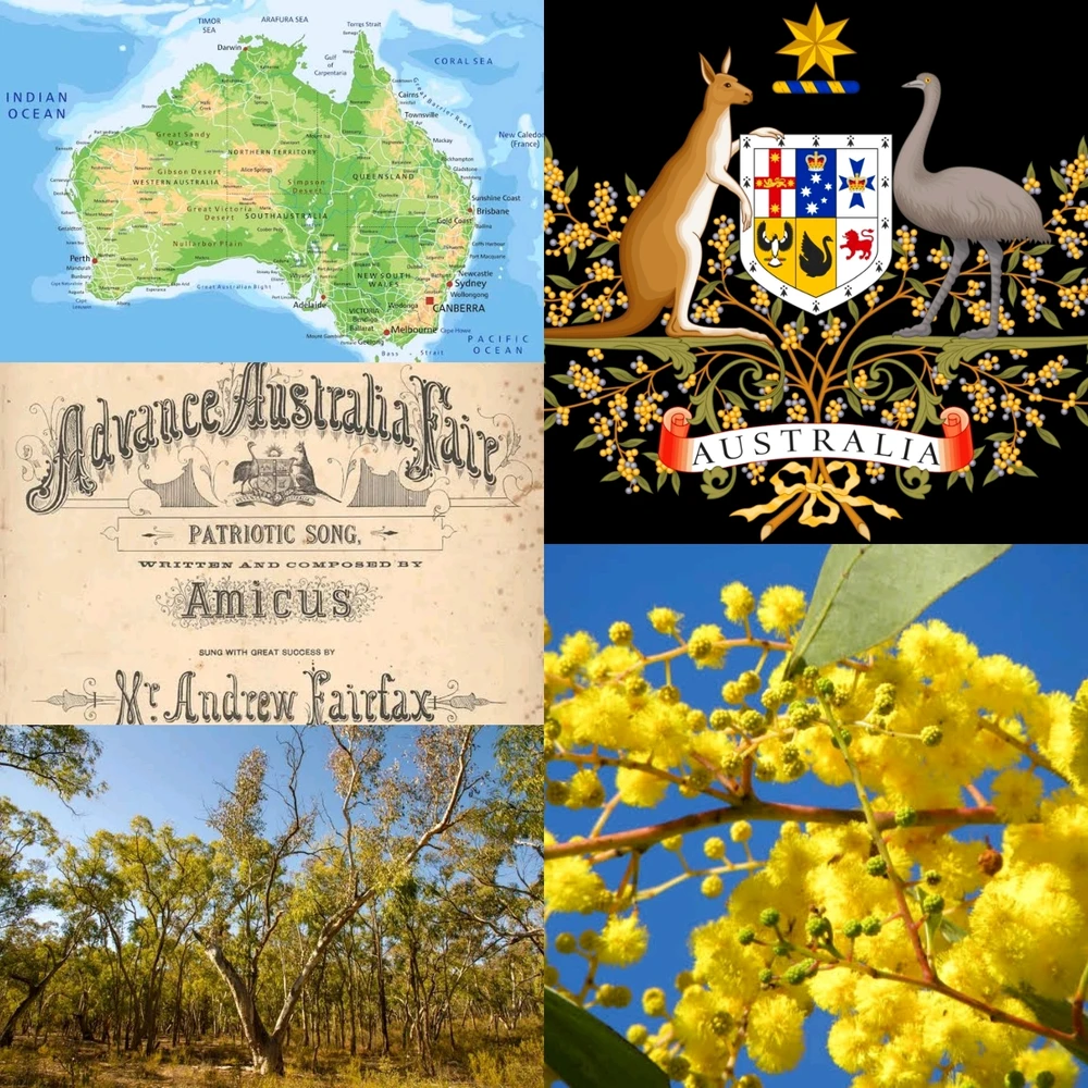 Image uploaded by Edo