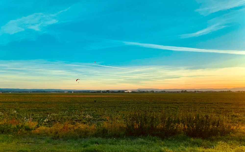 Obrázek nahrál 🌹Thomas🌹