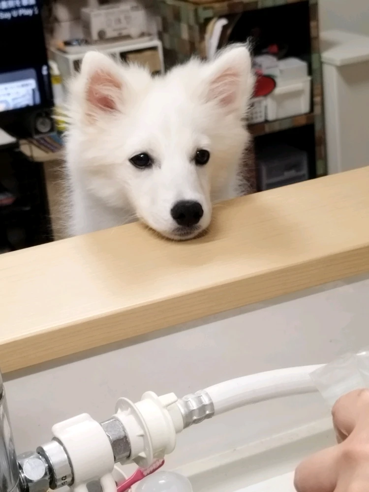 コウジがアップロードした画像