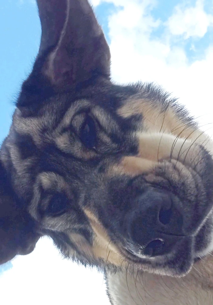 Imagem enviada por Gustavo Pereira