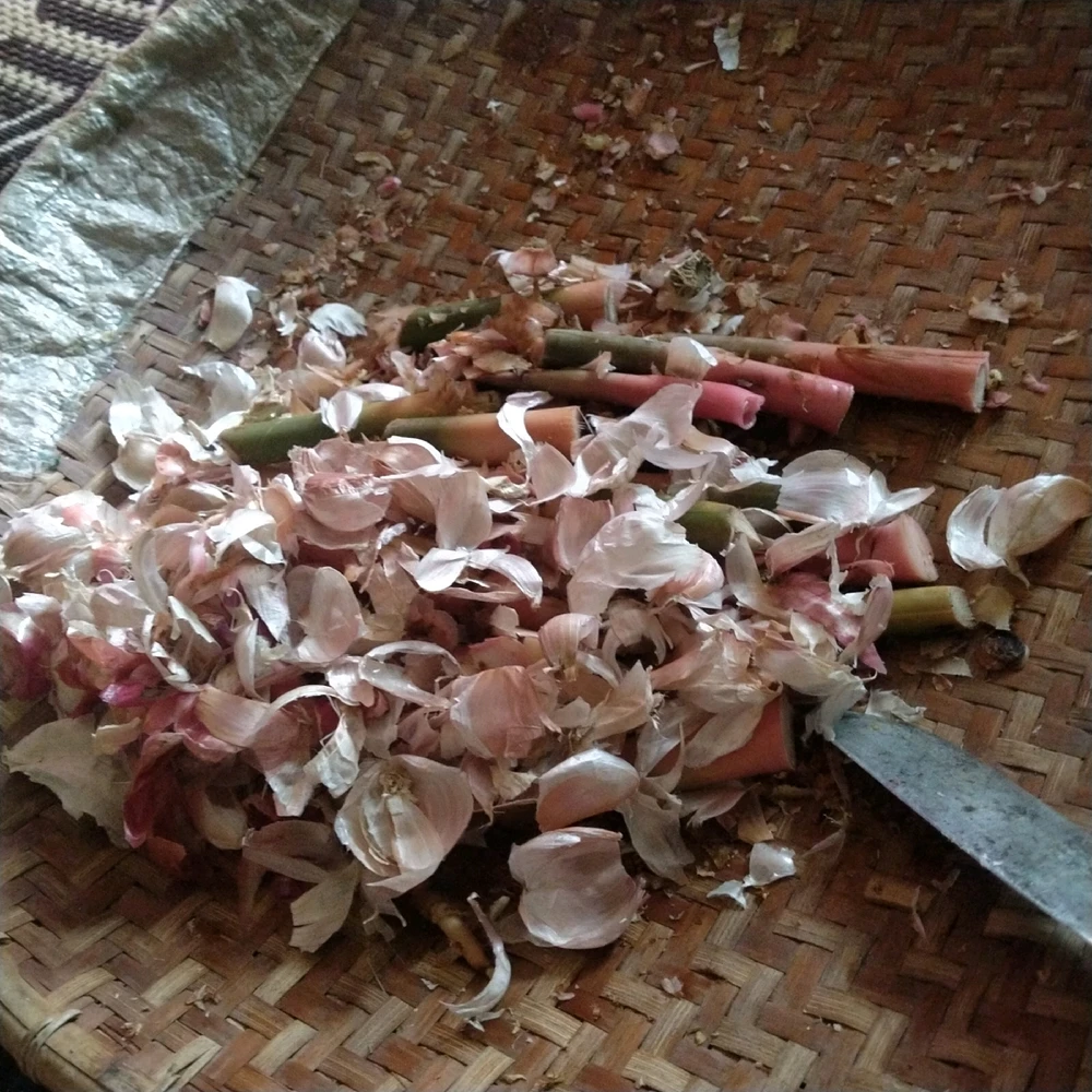 由Atika Saskia上传的图片