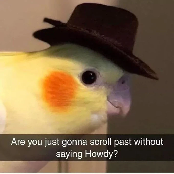 Image uploaded by Mohamed