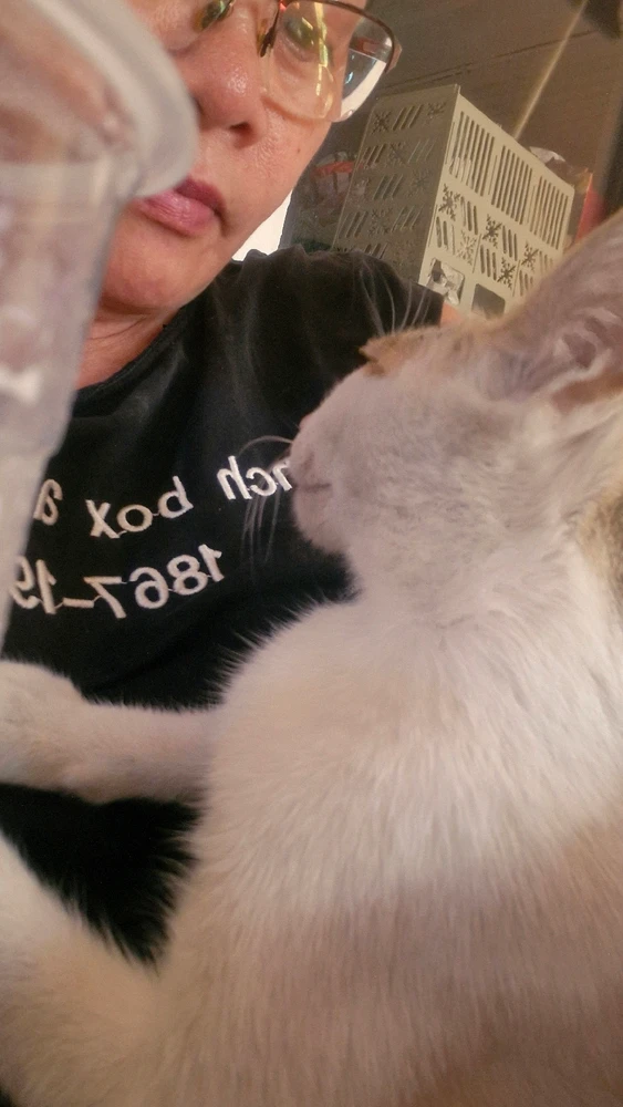 Bild hochgeladen von Liza