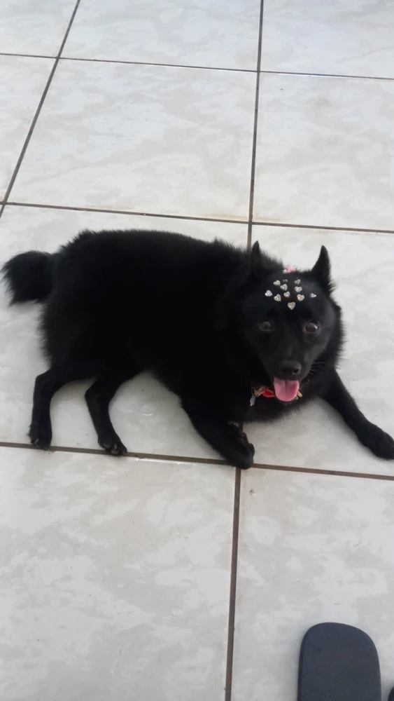 Bilde lastet opp av Leticia