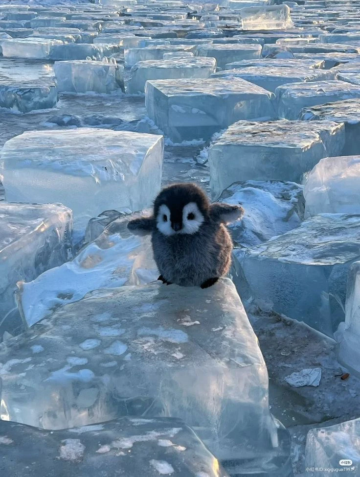 Bild hochgeladen von James