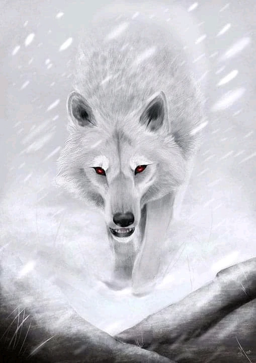 Image uploaded by Travis "Bickle" Pugh