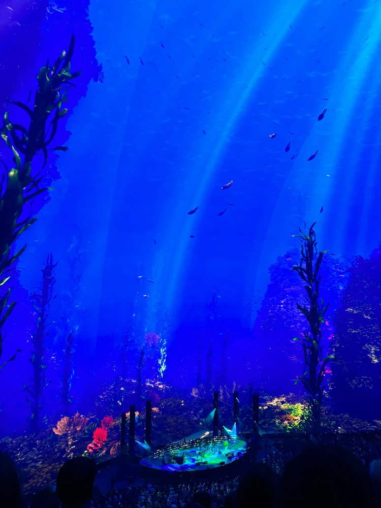 Image uploaded by Anton