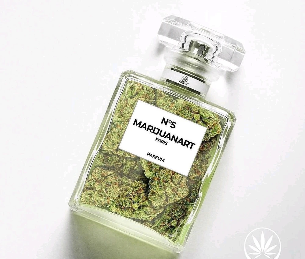 Tolga tarafından yüklenen görsel