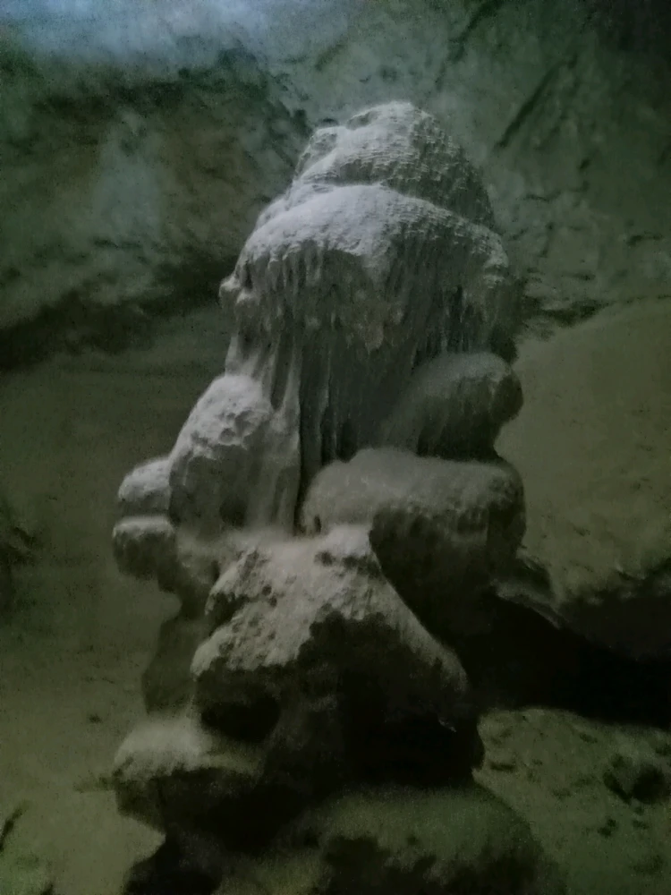 Image uploaded by Spencer Godette