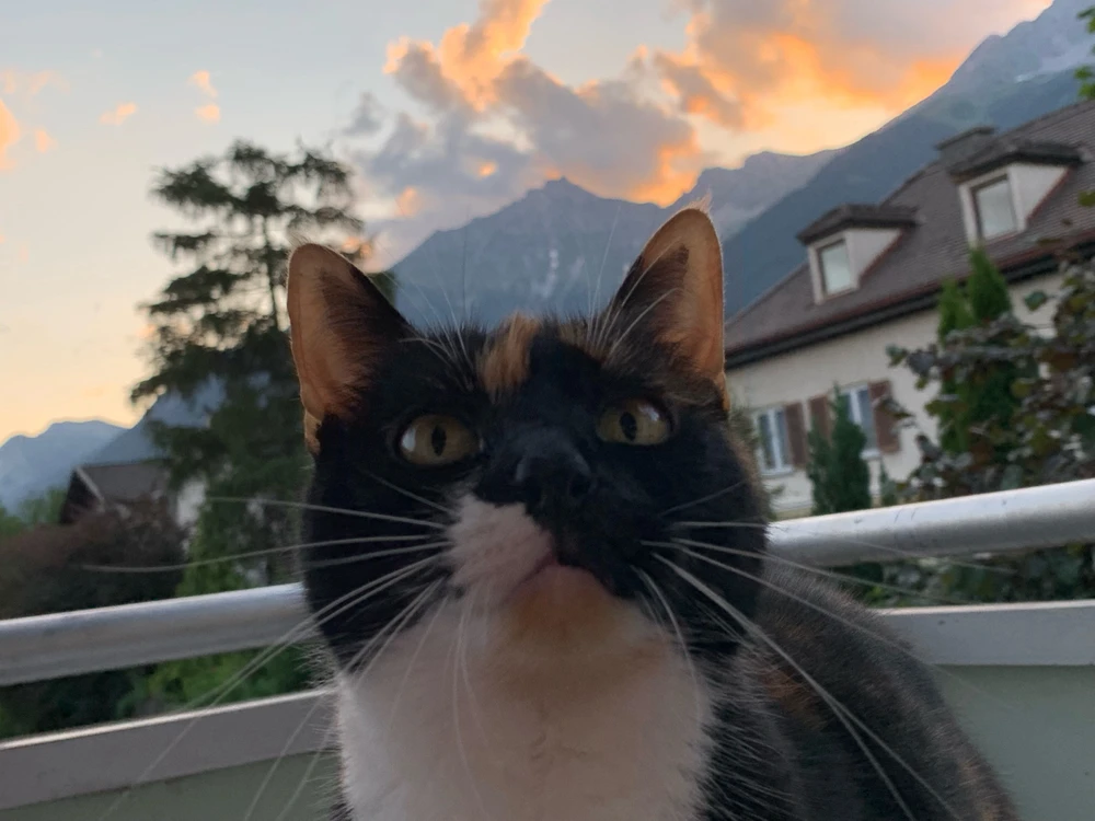 Bild hochgeladen von Jürgen