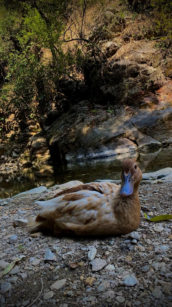 Image uploaded by Satyam